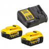 Pack 2 batteries XR 18V 2Ah Li-Ion