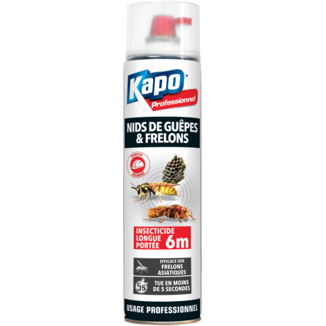 Aérosol Guêpes Et Frelons Longue Portée 4 M - 750 Ml - Pour Nids, Toitures, Abris De Jardin