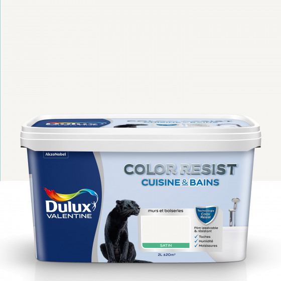 Peinture Color Resist Cuisine & Bains Blanc