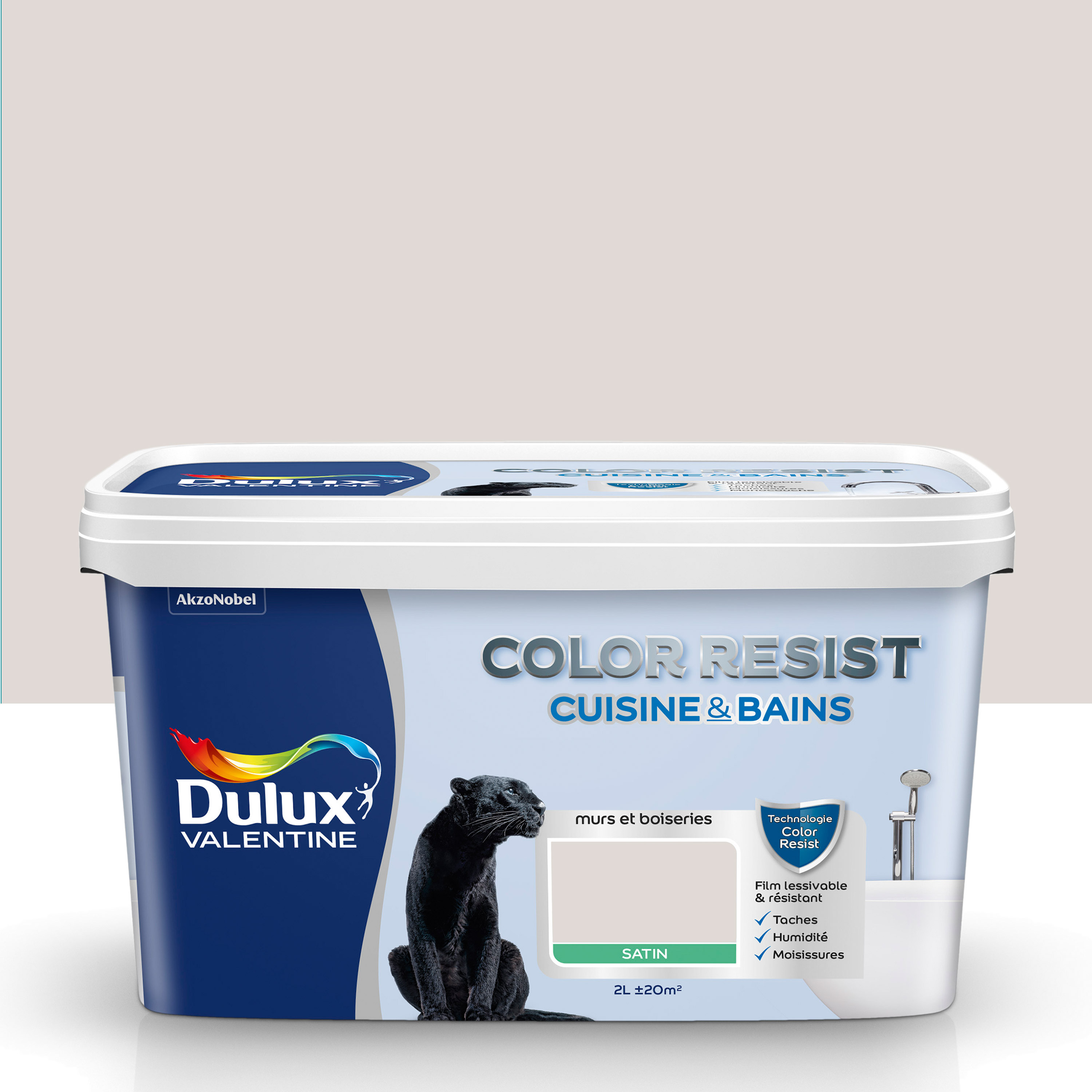 Peinture traitement anti-moisissures DIP Blanc 750 ml