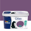 Peinture Crème De Couleur Prune