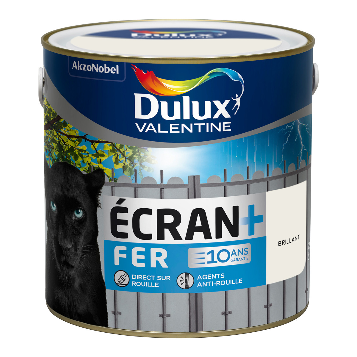 Peinture Ecran+ Fer Protection Antirouille Noir Mat 2L - DULUX