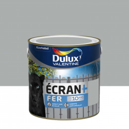 Peinture Écran + Fer Gris Franc