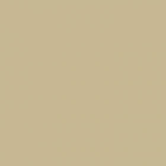 Peinture Crème De Couleur Bambou