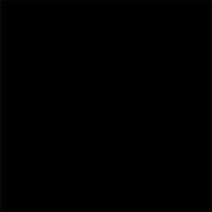 Peinture bois microporeuse Syntilor