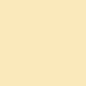 Peinture bois microporeuse Syntilor
