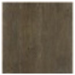 Mordant : Reactive Stain Torched 8056