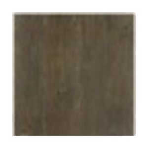 Mordant : Reactive Stain Torched 8056