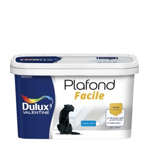 Peinture plafond facile blanc