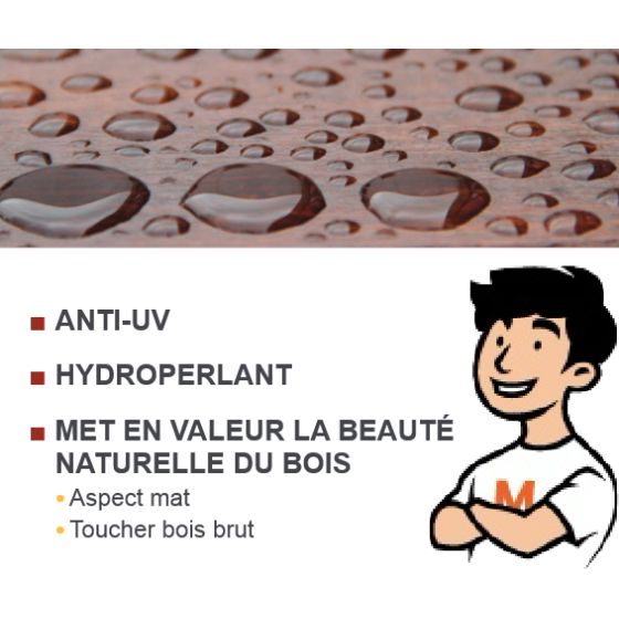 Saturateur bois Blanchon Miel 5L - Manubricole | manubricole.com