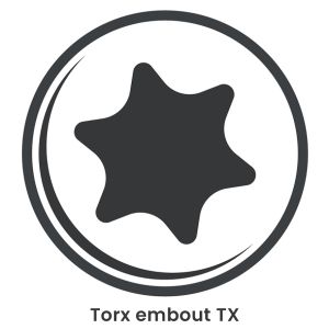 Vis charpente- Rocket - 8 x 100 - TX 40 Boite de 100