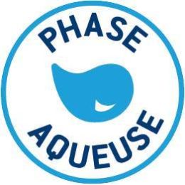 Peinture laque bois et métaux 1L Blanc satin