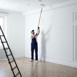 Peinture murs et plafonds 10L Blanc velours